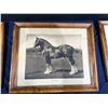 Image 3 : Four Framed Photographs of Work Horses plus One Unframed 14Wx8H