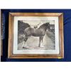 Image 5 : Four Framed Photographs of Work Horses plus One Unframed 14Wx8H