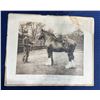 Image 6 : Four Framed Photographs of Work Horses plus One Unframed 14Wx8H