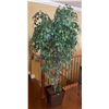 Image 1 : Artificial Weeping Fig Tree In Decorative Container  33Wx33Dx78H