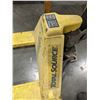 Image 2 : TSP5500 PALLET DOLLY. 5500 LB CAPACITY