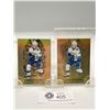 Image 1 : 2019-20 Upper Deck Tim Hortons Gold Etchings Elisa Pettersson Card # GE-6