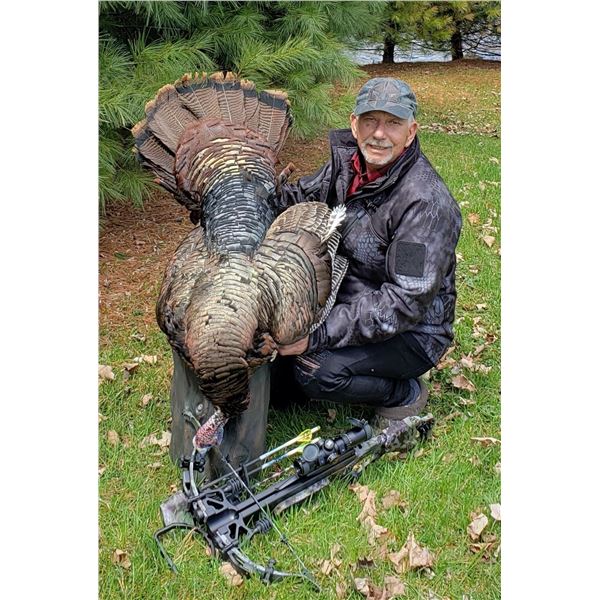 4-day, 4-person, Eastern Turkey hunt (one per hunter)