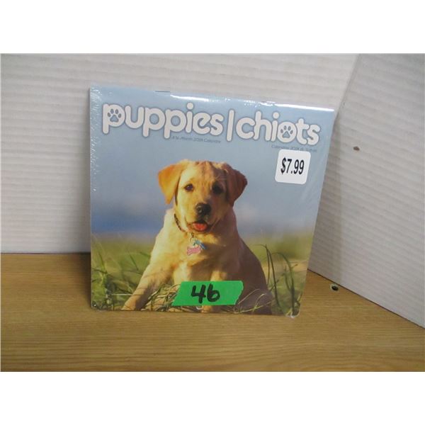 NEW:  PUPPY 16 MONTH CALENDAR (7" X 7")