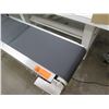 Image 2 : PVC Belt Electric Conveyor Machine w/ Stainless Steel Double Guardrail Ce × 12