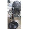 Image 1 : Dayton Industrial Metal Pedestal Fan
