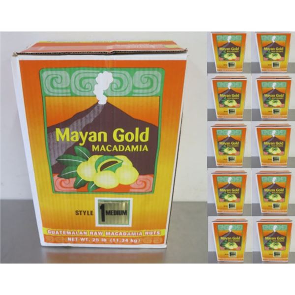 Qty 11 Boxes Mayan Gold Guatemalan Raw Macadamia Nuts Style 1 Medium 25 lbs