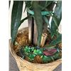Image 3 : Artificial Plant in Wicker Basket, Approx. 4 Ft. Tall