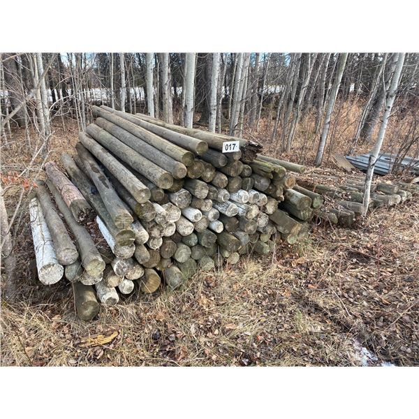 Approx. 100- sharpened treated fence posts (used)