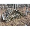 Image 1 : Approx. 100- sharpened treated fence posts (used)