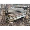 Image 2 : Approx. 100- sharpened treated fence posts (used)