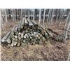 Image 4 : Approx. 100- sharpened treated fence posts (used)