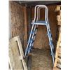 Image 1 : 2- Swimming pool ladders. (The pool is selling as Lot# 114)