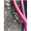 Image 3 : Red rubberized hose