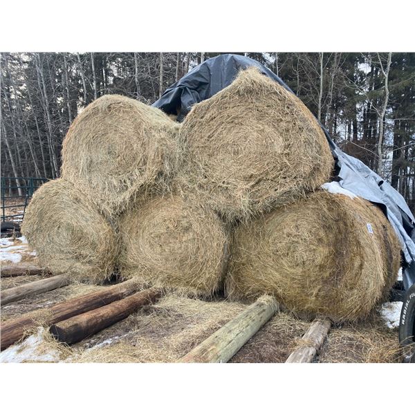 (so much each x 23) 23 Hay bales purchased 2022, not rained on, covered with tarp selling so much ea