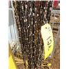 Image 3 : Large quantity of chain saw chains, 18" - 22", used