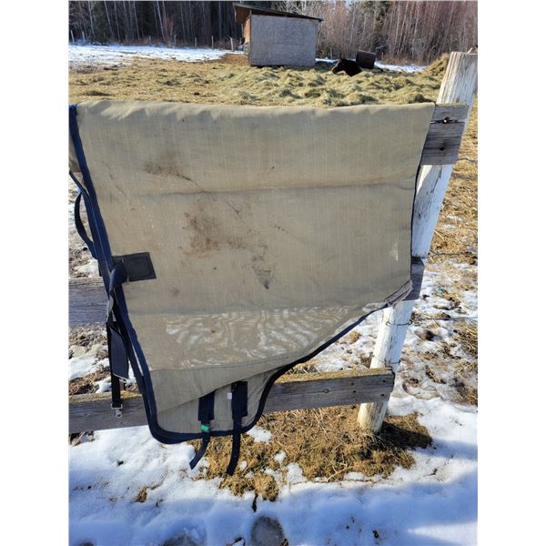 Horse fly cover, 45" across back