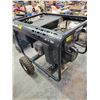 Image 1 : HOMELITE LR 5000 watts, Briggs & Stratton 11 HP, running
