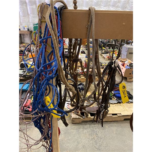 Qty of Hay nets; bridles
