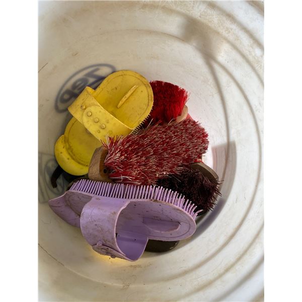 Horse brushes; hoof knives