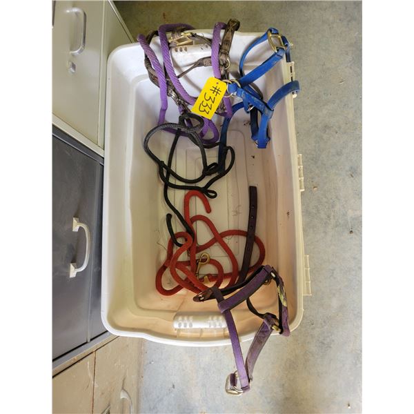 1 horse rope halter; 2 lead ropes; 3 horse bridles