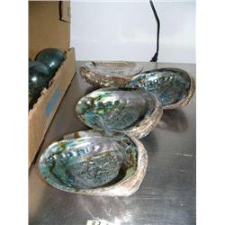 Lot of 4 abalone shells