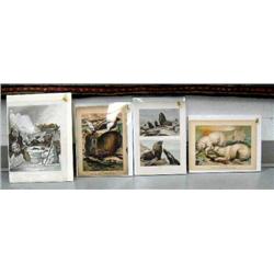 Lot of 4 colored pictorials of Alaskan Natives and animals from the 1800's (86)