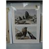 Image 4 : Lot of 4 colored pictorials of Alaskan Natives and animals from the 1800's (86)