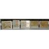 Image 1 : Lot of 4 colored, antique photographs of Alaska (86)
