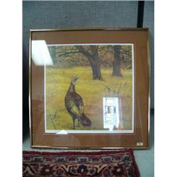 Signed print of a turkey, by Ken Davis (700)