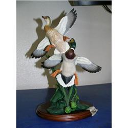 CHOICE on 2: "Narrow Escape" of ducks (104)