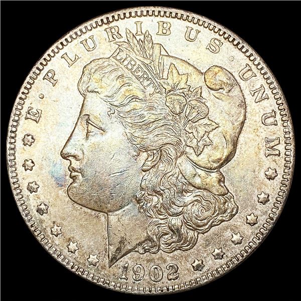 1902 Morgan Silver Dollar CHOICE BU