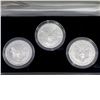 Image 2 : 2006 American Eagle 20th Ann. Silver Coin Set [3 C
