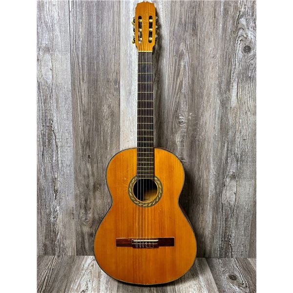 Candelas Classical ACC Guitar Hard Case