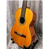 Image 3 : Candelas Classical ACC Guitar Hard Case