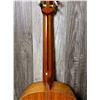 Image 9 : 2012 Paracho Classical ACC Guitar Hard Case