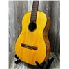 Image 3 : Cordova Classical ACC Guitar Hard Case