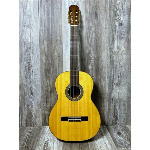 2012 Vietnam Antonio ACC Guitar Hard Case