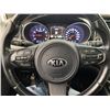 Image 39 : C6I --  2015 KIA SEDONA EXL, Grey, 180393 KM