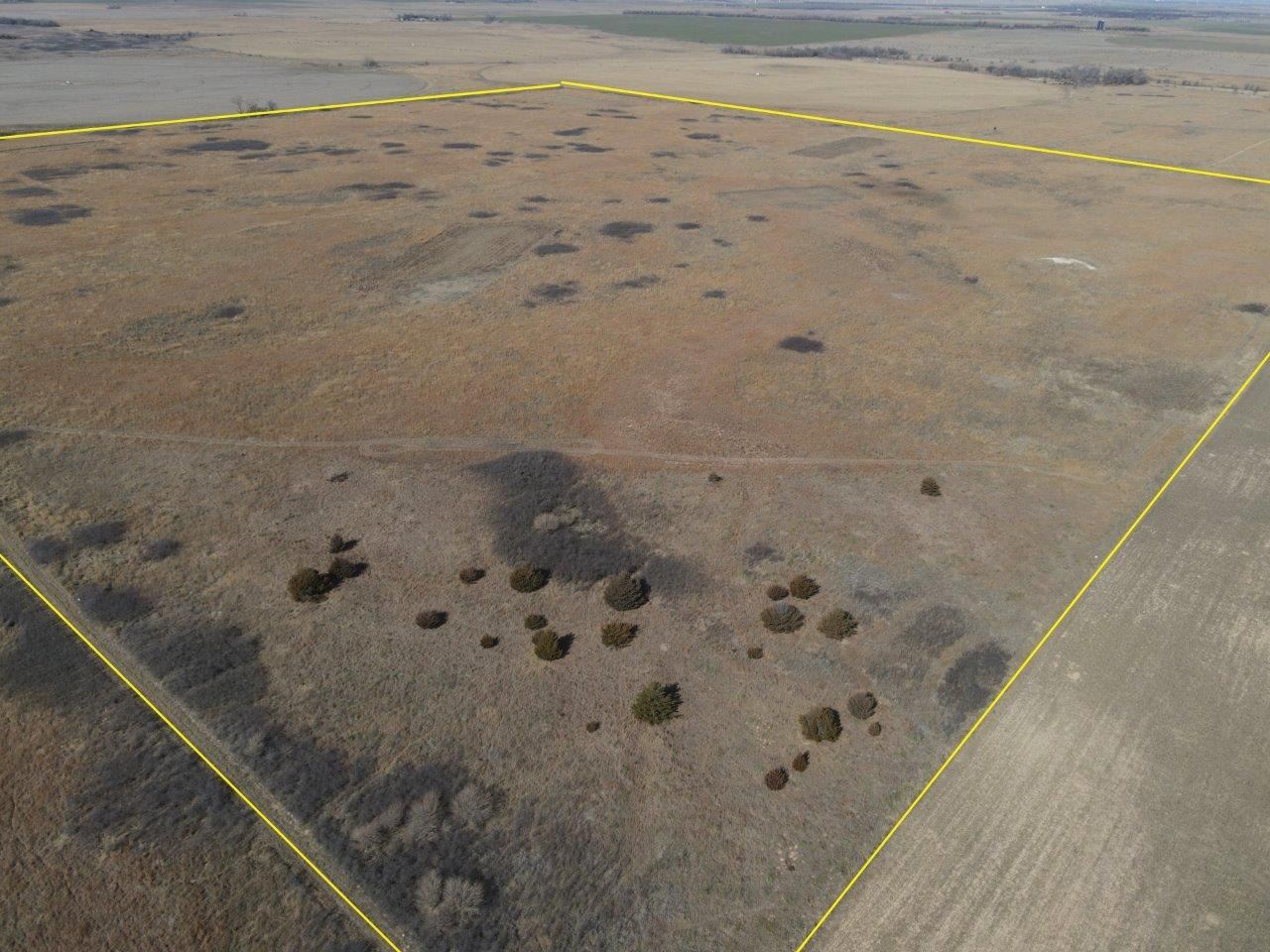 161 +/ Acre of Pratt County, KS CRP and Hunting Land