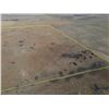 Image 4 : 161 +/- Acre of Pratt County, KS CRP and Hunting Land