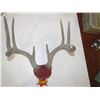 Image 1 : Artificial Deer Antlers