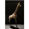Image 1 : Brass Giraffe decorative figurine - approx. 22in tall