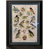 Image 2 : Set of 2 framed birds & animals decorative prints (approx. 23in 34in each)