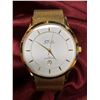 Image 1 : Daniel Steiger Metropolitan Gold Wrist Watch - 5ATM Water Resistant