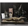 Image 1 : Group of misc items including - assorted trophy awards, crocodile decor piece, large animal tooth, e