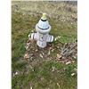 Image 1 : Fire hydrant yard decor