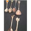 Image 10 : Spoon Collection with Rack