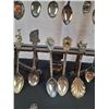 Image 6 : Spoon Collection with Rack