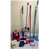 Image 1 : Assorted Cleaning Items